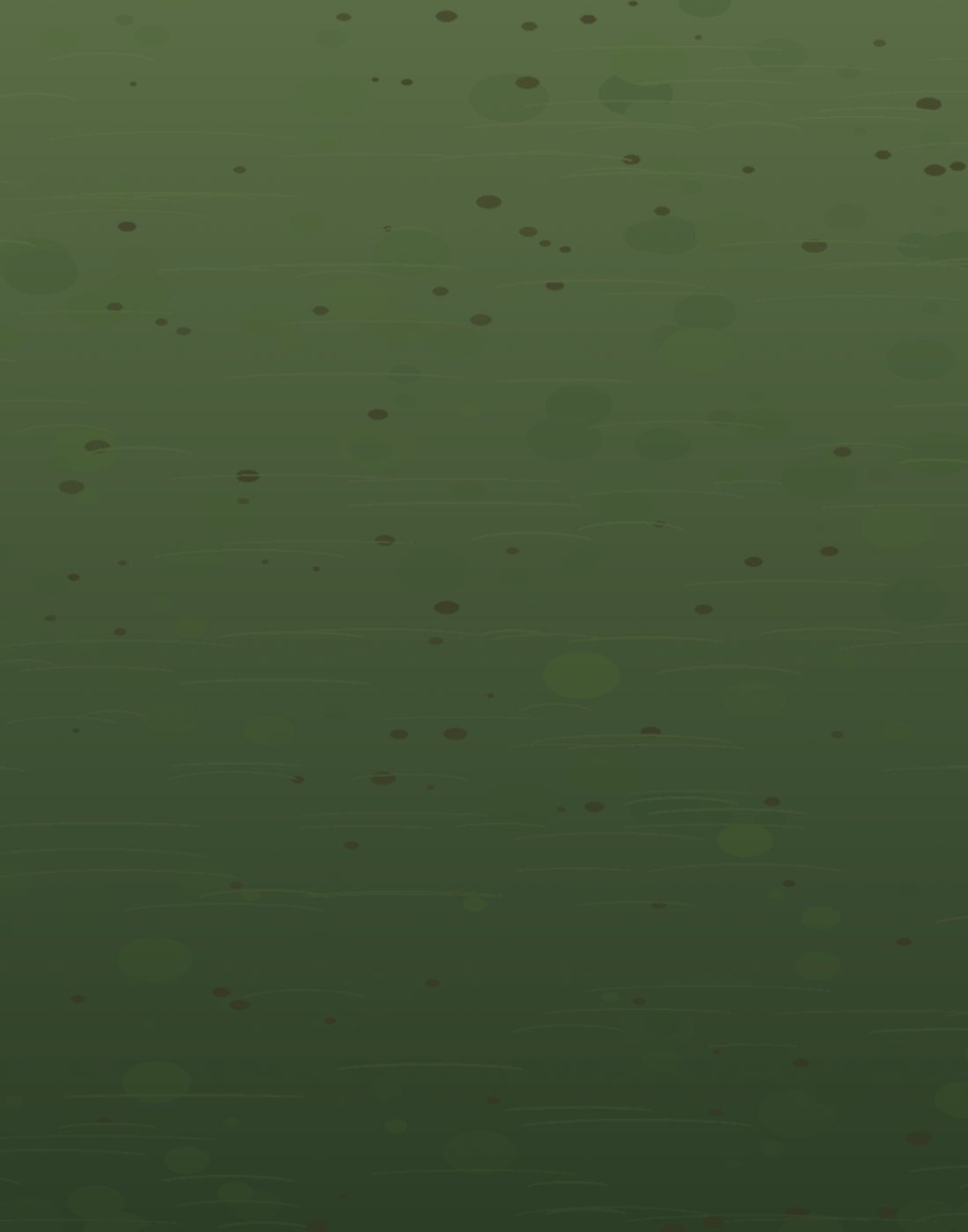 Neglected green pool before recovery
